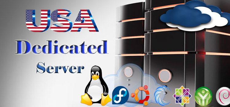 usa dedicated server