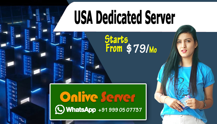 USA Dedicated Server Hosting Are Increased Performance in Web-Hosting Market
