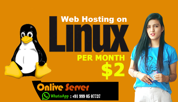 Linux Web Hosting Service With Great Benefits By Onlive Server
